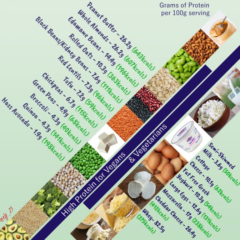 Vegan & Vegetarian Protein Sources EJP Nutrition