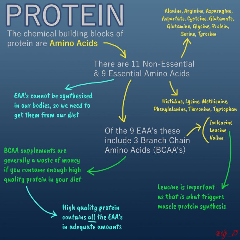 Protein Infographic EJP Nutrition