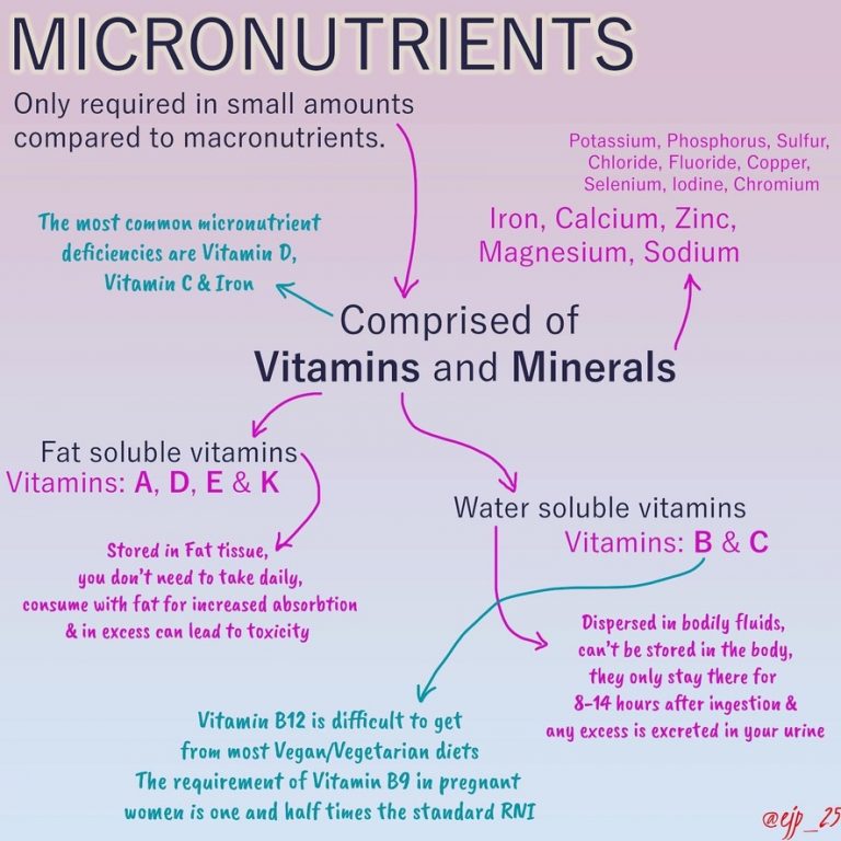 Micronutrients Infographic EJP Nutrition