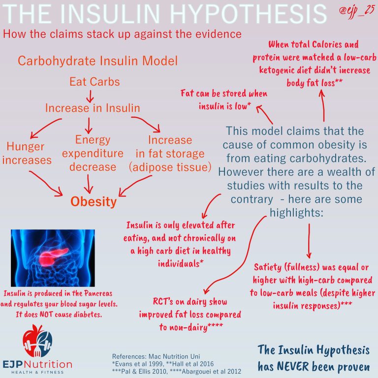 The Insulin Hypothesis - EJP Nutrition