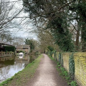 NEAT - Daily walk