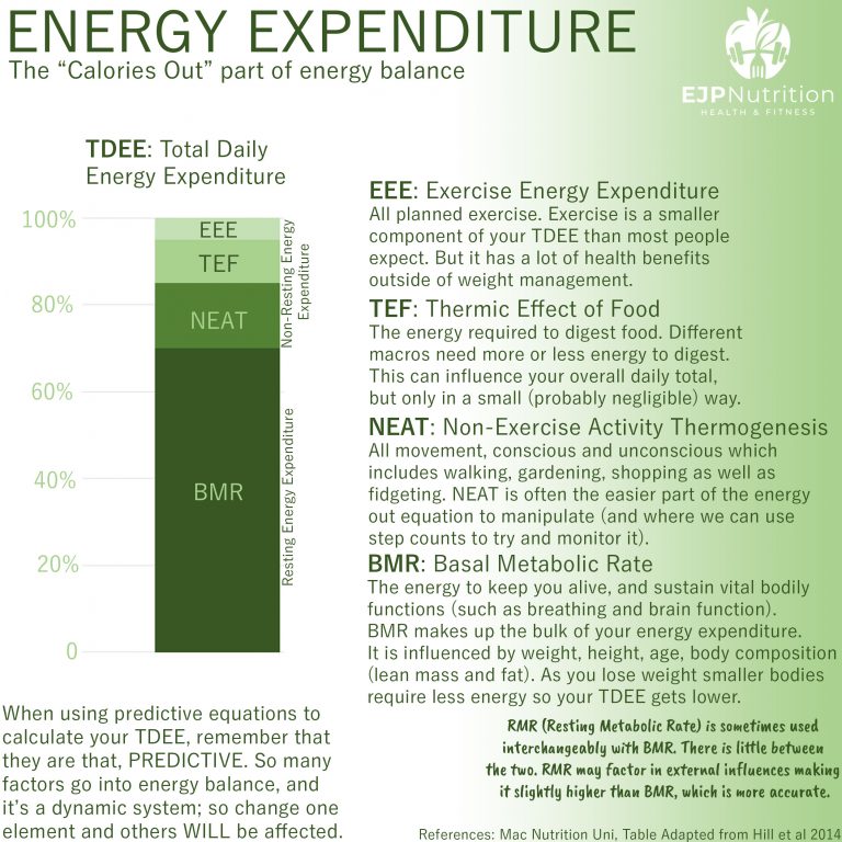 Energy Expenditure - EJP Nutrition