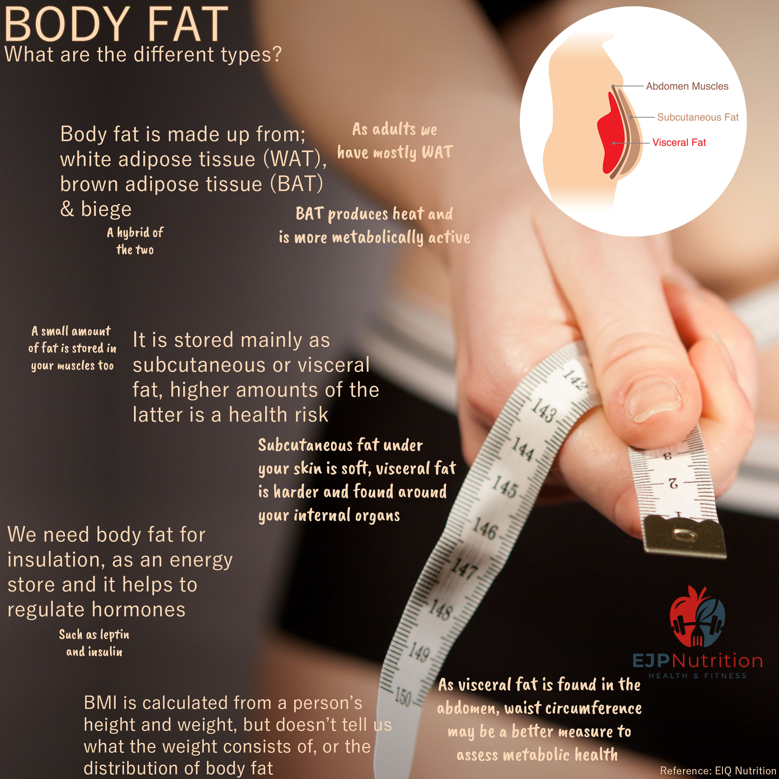 Body Fat - EJP Nutrition
