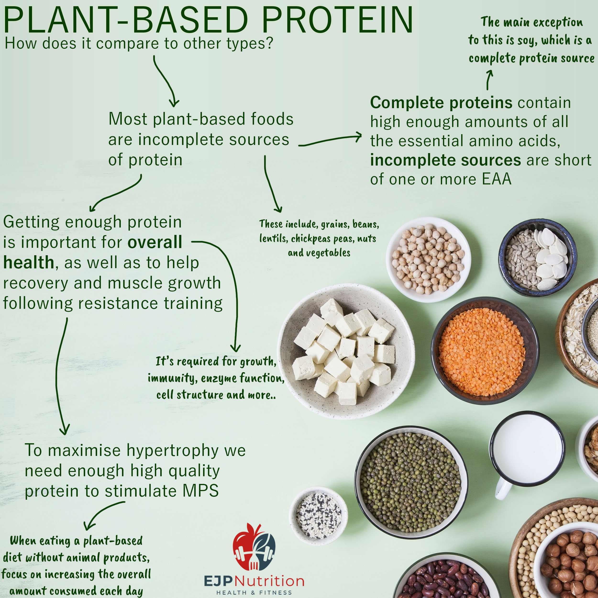 Plant Protein - EJP Nutrition